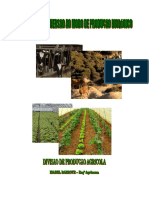 Manual Conversão Ao MPB PDF