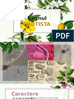 Regnul Protista-777