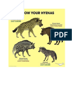 Hyenas