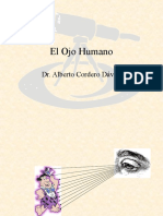 El Ojo Humano