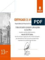 Certificado Induccion SSO Codelco VP 