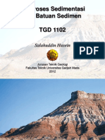 04 Proses Sedimentasi Dan Batuan Sedimen PDF