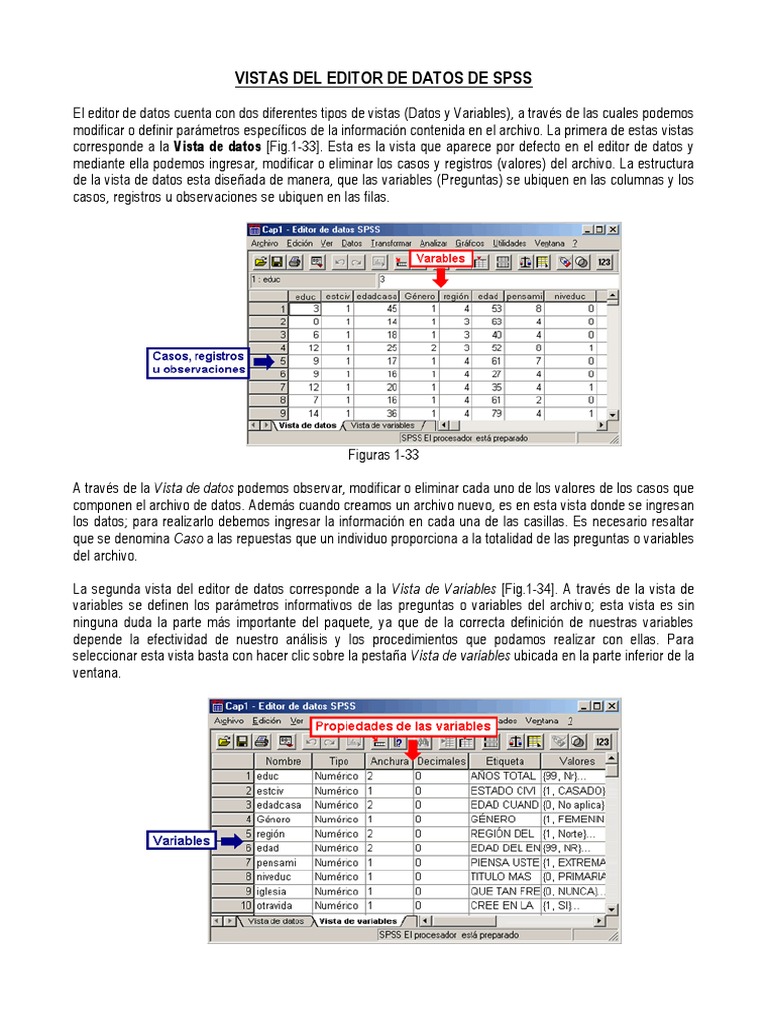 Vistas del Editor de Datos en SPSS | PDF | Spss | Variable (informática)