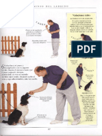 El Perro Manual de Adiestramiento (Segunda Parte)