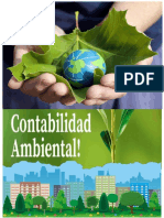 La Contabilidad y El Medio Ambiente Desde El Punto de Vista Internacional PDF