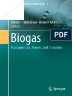 2018 Book Biogas PDF