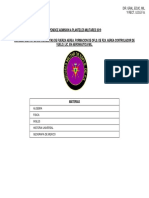 Emefa Form Ofls Facv 2019 PDF