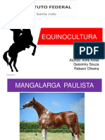 EQUINEOS