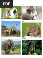 Animales que vuelan, nadan y caminan | PDF