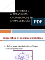 Citogenética en animales domésticos