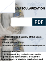 Brain Vascularisation_Dr. Dr. Djoko Prakosa 