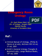 Kedaruratan urologi