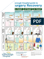 616_en~v~bowel-surgery-recovery-poster-the-scarborough-hospital.pdf