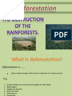 deforestation power point presentation Fiona.pptx