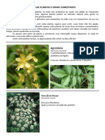 LISTA DE PLANTAS E ERVAS COMESTÍVEIS.pdf