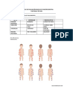 Protocolo de Evaluación Basica de Función Sensitiva