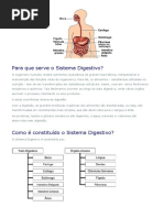 Sistema Digestivo_Site NOTA POSITIVA