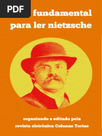 Intro a Nietzsche