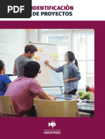 Identificacion de Proyectos