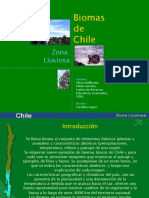 biomas de chile