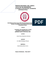 Informe de Práctica Pre Profesionales PDF