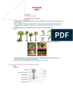 Bedah Kisi-Kisi Usbn Biologi PDF