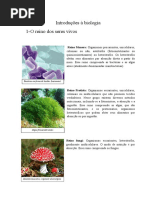 O Reino dos Seres Vivos