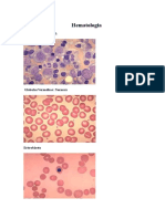 Hematologia