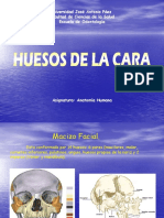 Huesos de La Cara