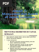 Koleksi Masak Sawi Kailan  Download Contoh Skripsi Radio