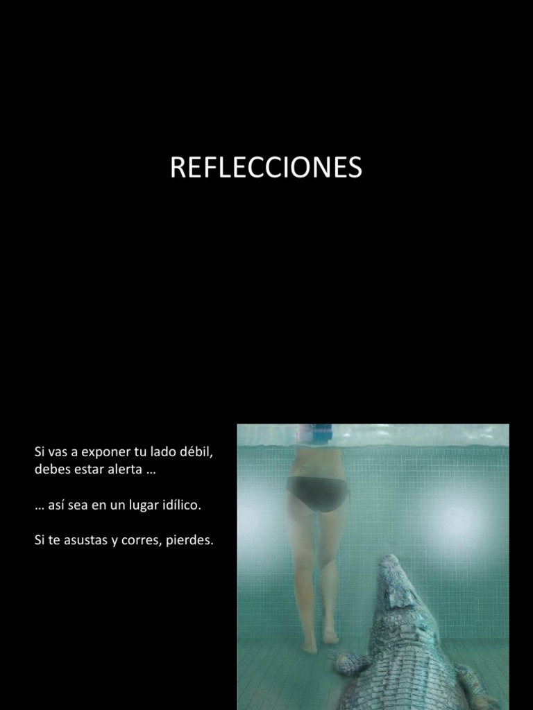 03 Reflecciones V 1