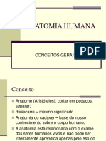 Anatomia Humana - Conceitos Gerais