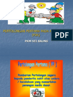 P3K Edit (DR)