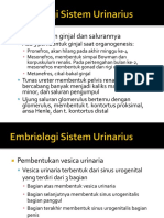 Embriologi Sistem Urinarius