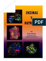 Lectura Enzimas y Nutricion PDF