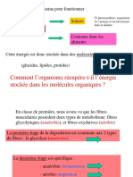 Comment l’Organisme Récupère-t-il l’Énergie Stockée Dans Les Molécules Organiques