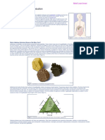 Artifical Hearts Information Sheet