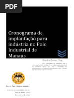 Implantação INDUSTRIA ZFM.docx