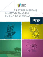 2012 - Livro - Práticas Experimentais Investigativas em Ensino de Ciências (UFES) PDF