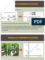 Modelos de Crecimiento de Pepino