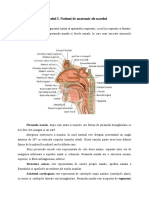 Anatomia Nasului