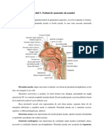 Anatomia Nasului