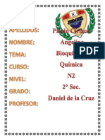 IEP jedcer BIOQUIMICA, N2, Ciriaco.docx