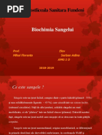 Biochimia Sangelui