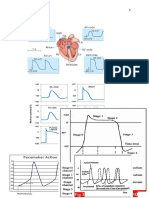 Basic EKG สำหรับน้องปีสี่ yong 69