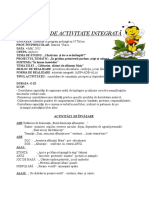 Proiect de Activitate Integrata