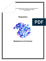 Folleto 5 Metabolismo de Proteinas PDF