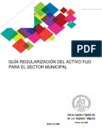 Guìa Regularizaciòn Activo Fijo PDF