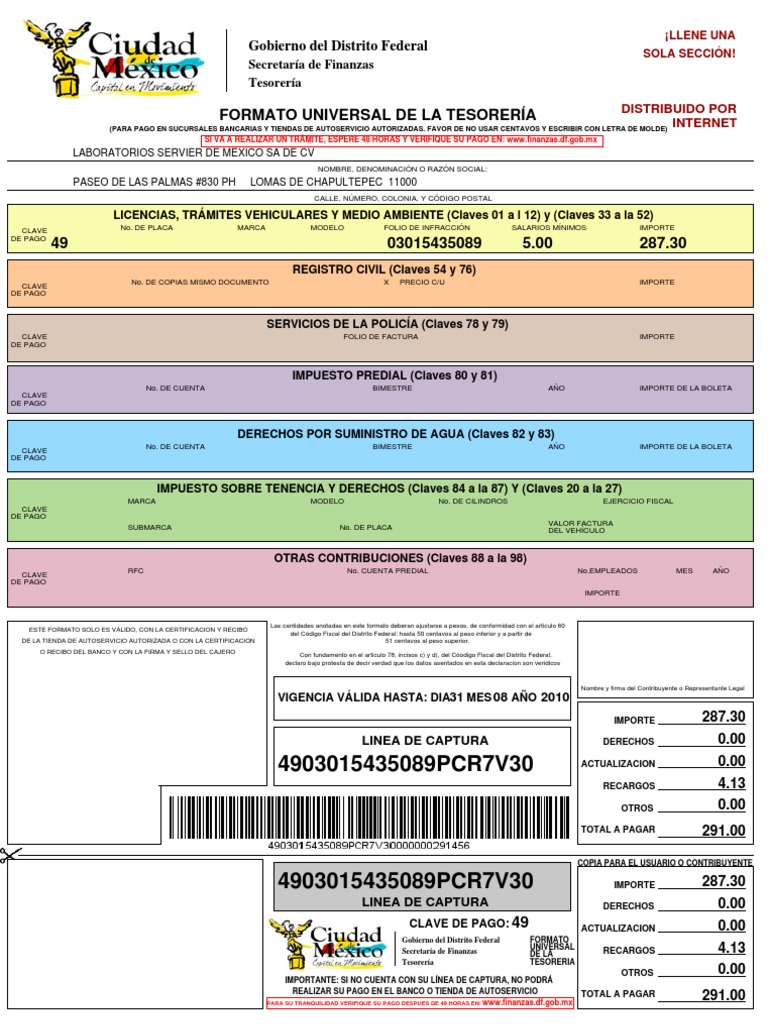 Formato Universal Multa | PDF | Gobierno | Finanzas (general)