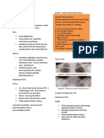 Catatan Koass Radiologi